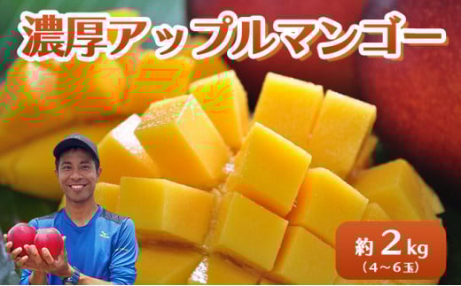 2026年 先行予約 アップルマンゴー 約2kg 4～6玉 セット 八重山マンゴー品評会総合1位を計3回獲得！高糖度保証！農園ファイミール 濃厚 果物 フルーツ 031-a007_2026