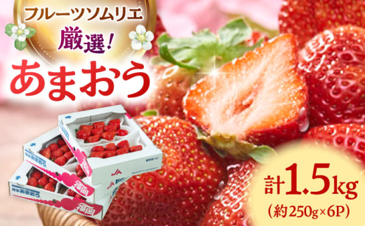 あまおう 博多 福岡 苺 ストロベリー