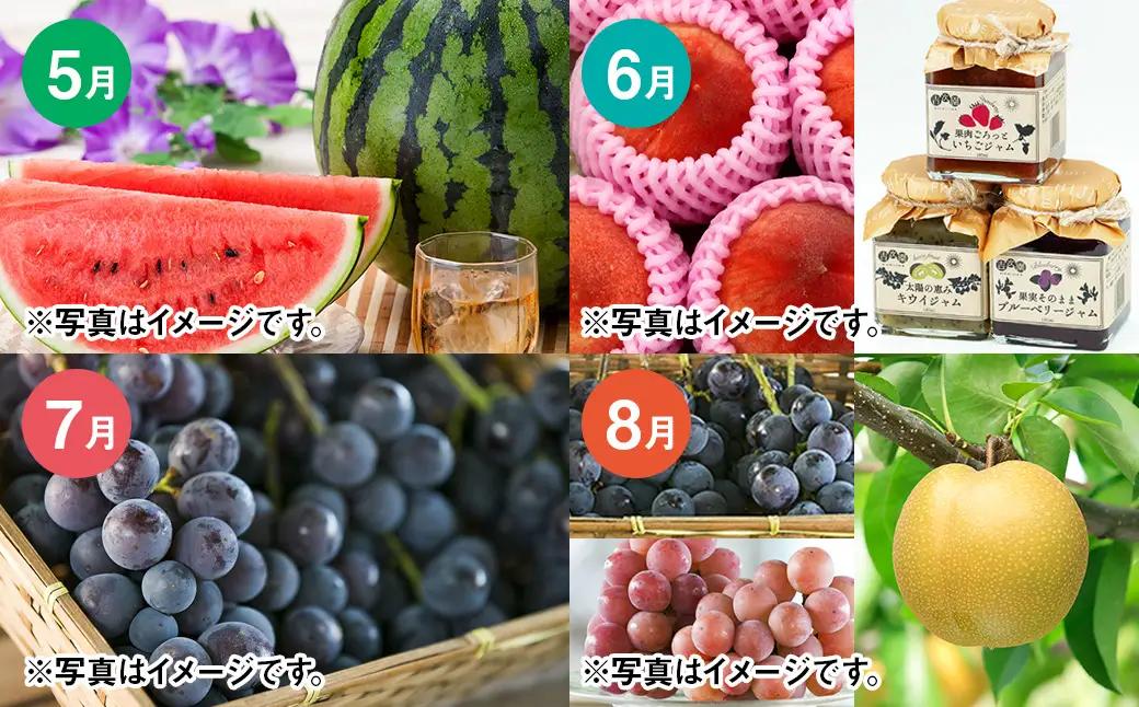 【12カ月定期便】熊本フルーツ定期便12カ月｜果物 くだもの 苺 いちご みかん 柑橘 メロン すいか 桃 ぶどう 梨 柿 みかんジュース
