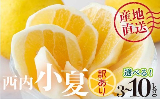 
                  量が選べる【先行予約】＜訳アリ＞西内小夏　3･5･10kg　N51 N42 N52
                