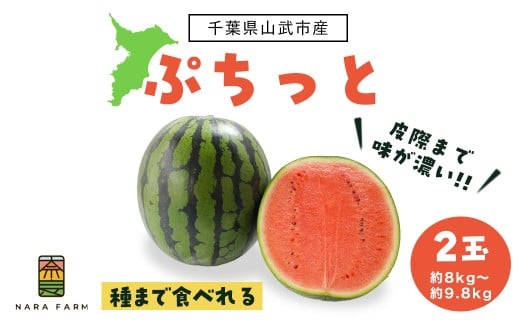 ぷちっと２玉入り【 ふるさと納税 人気 おすすめ ランキング ぷちっと２玉入り スイカ 西瓜 すいか 果物 フルーツ 国産 産地直送 甘い 野菜 千葉県 山武市 送料無料 】 SMAF006