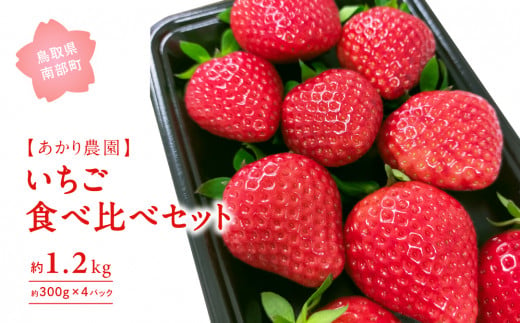 【AK02_3】【完熟出荷】いちご食べ比べセット 300g×4パック　「とっておき」1パックとおすすめの3パック（とっておき 紅ほっぺ 章姫 よつぼし かおり野 すず）＜3月出荷＞