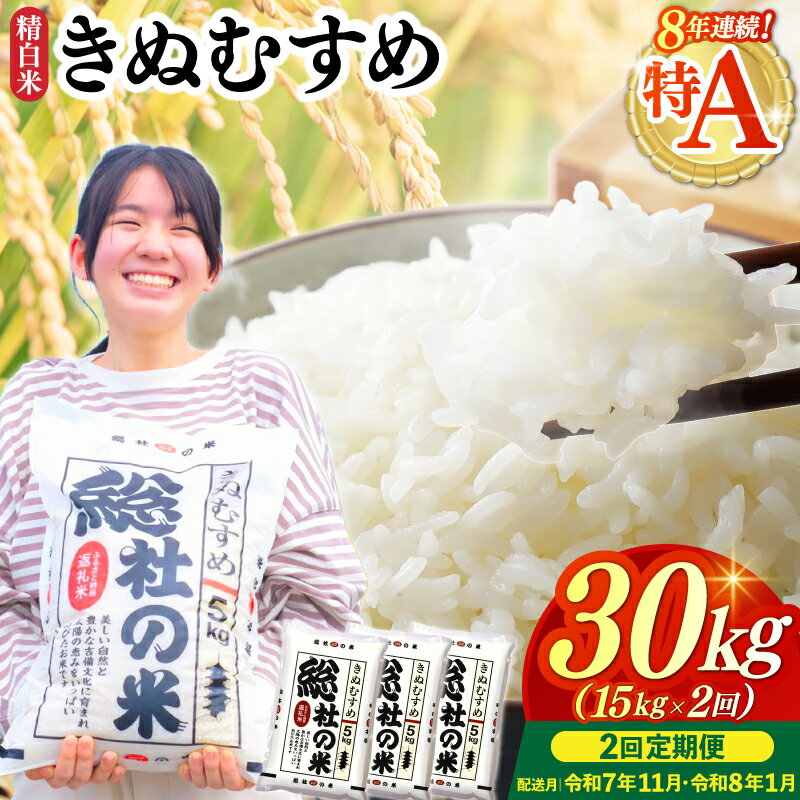 【ふるさと納税】特Aきぬむすめ 米 令和7年産 白米 30kg 定期便（15kg×2回）岡山県産 総社市〔令和7年11月・令和8年1月配送〕25-060-012