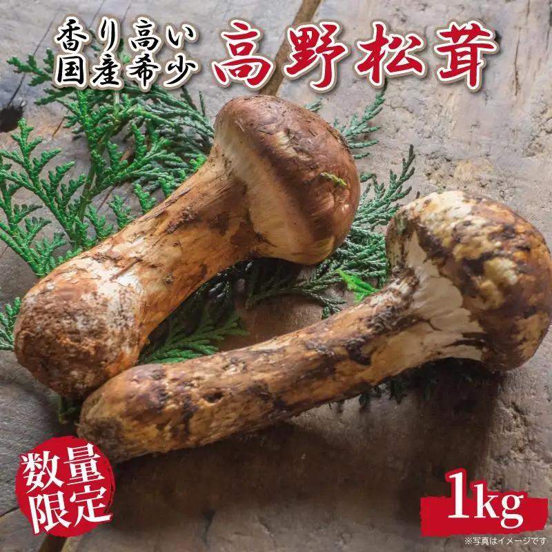 先行予約 国産松茸 約1kg 数量限定 香り高く希少【和歌山県高野町産 松茸】