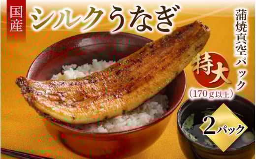シルクうなぎ蒲焼真空パック 特大（170ｇ以上）×２パック【うなぎ 国産 2尾 うなぎ蒲焼 ギフト 冷凍 鰻 ウナギ 蒲焼 蒲焼き うなぎの蒲焼き やなのうなぎ 観光荘】