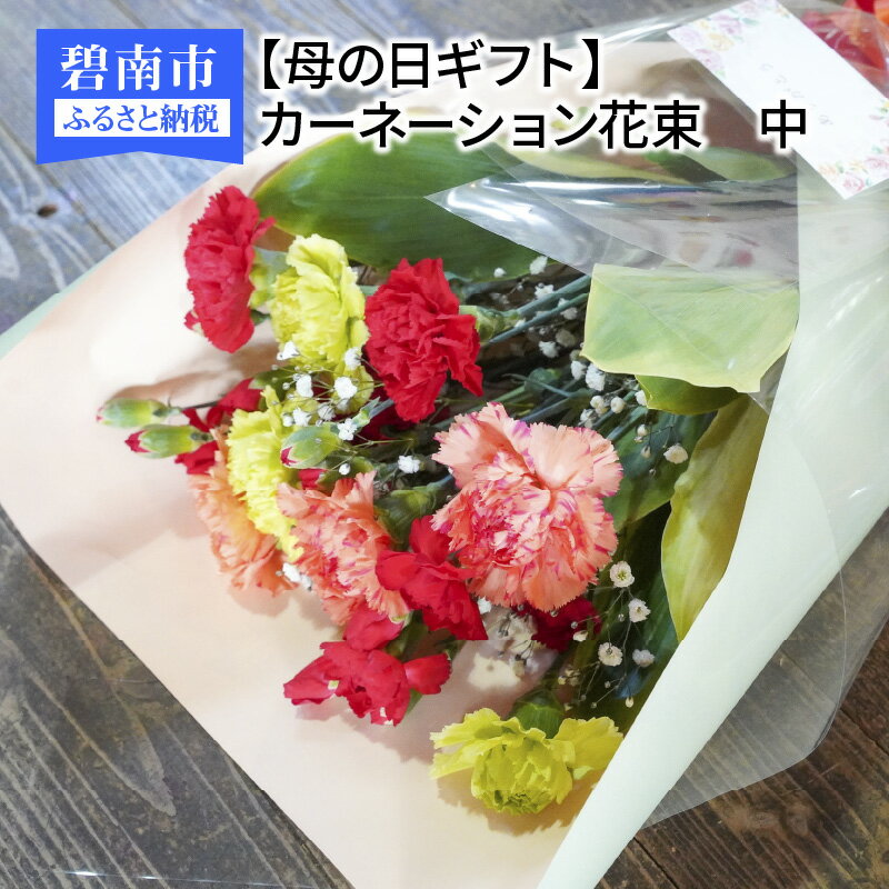 【ふるさと納税】母の日 ビタミンカラー カーネーション 花束 サイズ中 ギフト 生花 プレゼント 贈り物 里帰り 手土産 送料無料