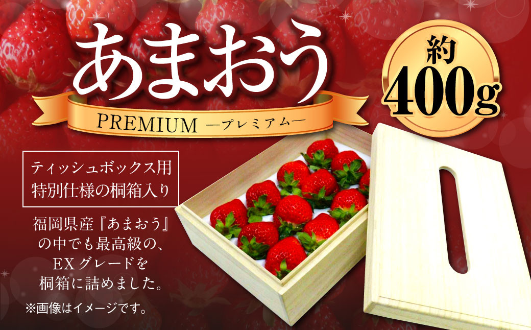 ティッシュボックス用 特別仕様の桐箱入り プレミアム あまおう 約400g×1パック あまおう いちご イチゴ 苺 果物 くだもの フルーツギフト お祝い 贈答用【2027年2月上旬～4月上旬発送予定】