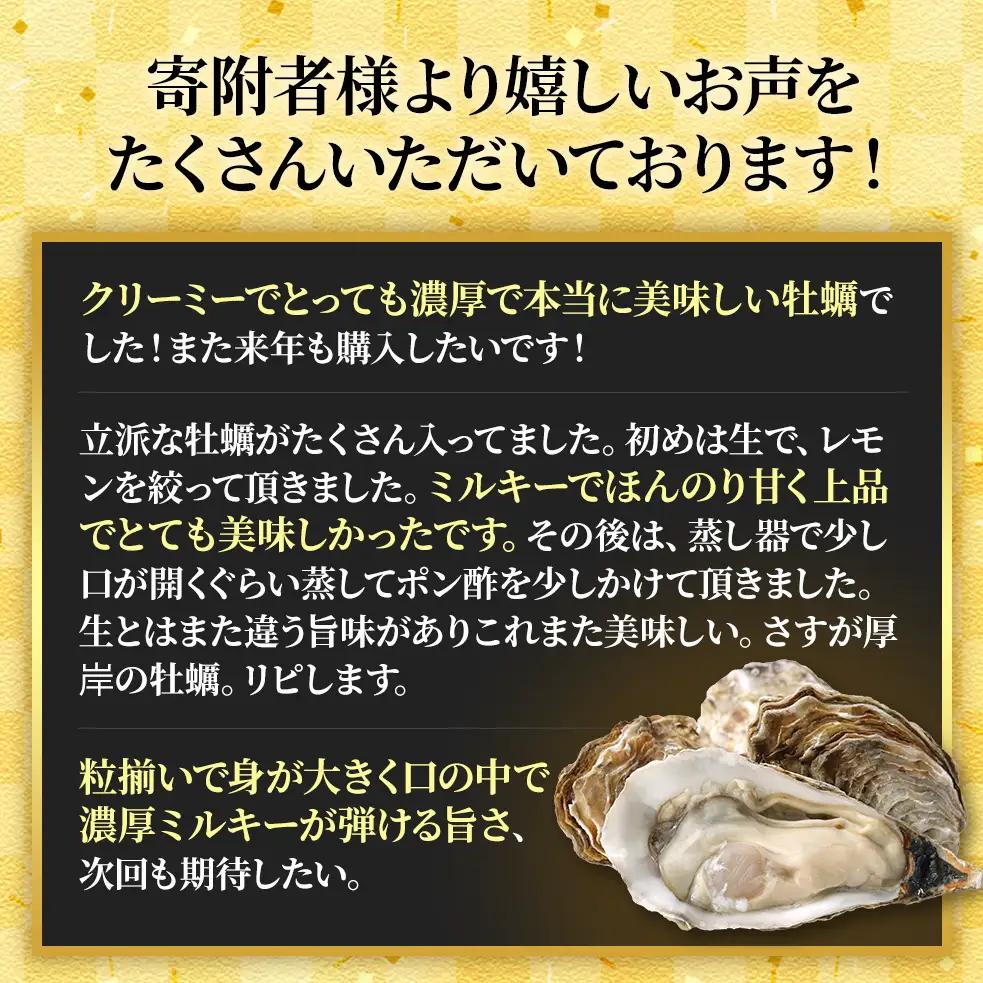 【 3ヵ月 定期便 】 北海道厚岸産 生食用 殻付カキ LLサイズ  12個　マルえもん 魚貝類 海の幸 海のミルク 海鮮 国産 北海道産 オイスター つまみ お酒 あて 肴 生牡蠣 メルマガ掲載商品