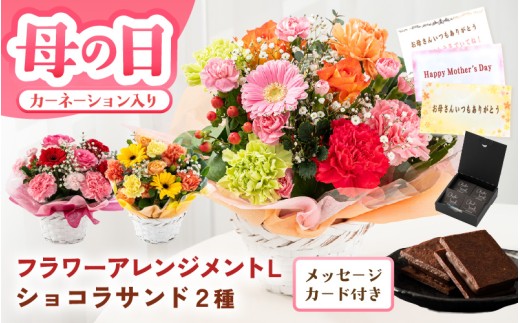 【母の日限定】カーネーション入り フラワーアレンジメントL ＆ ショコラサンド ギフトセット 選べるカラー 【カラー：レッド・ピンク】 母の日 スイーツ セット お菓子 焼き菓子 お花 フラワー 花束 ギフト 生花 プレゼント 花束 花 お祝い フラワーギフト 贈り物 贈答 [C-20703_01]