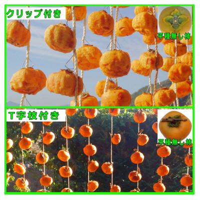 ふるさと納税 紀美野町 吊るし柿用 生渋柿 ひもセット【T字軸枝付または吊るしクリップ付】 約20〜30果、4.5〜5kg