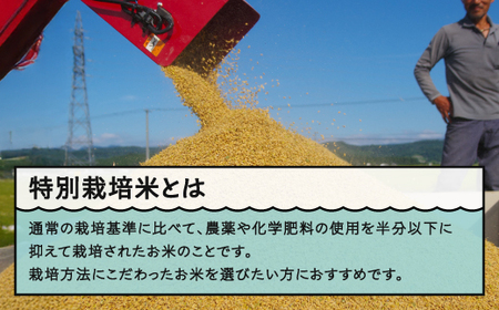 お米 米 令和7年産 【2026年5月上旬発送】 米 はえぬき 10kg 大石田町産 特別栽培米 精米 ※沖縄・離島への配送不可 ja-hasxa10-5f
