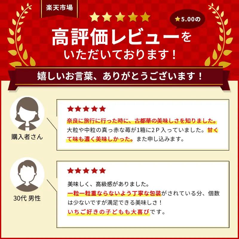 いちご あすかルビー 古都華 奈乃華 奈良県産 いちご【270g×2パック】【定期便3回】【先行予約】