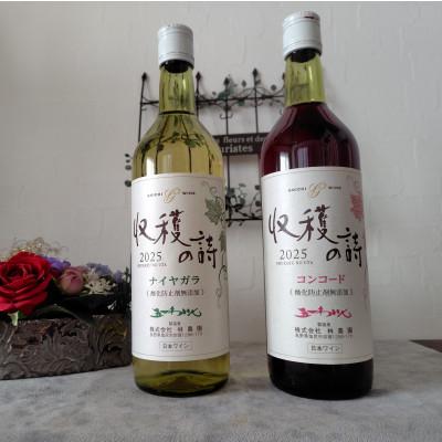 ふるさと納税 塩尻市 五一わいん ヌーボー コンコード&amp;ナイヤガラ 2本セット 720ml×各1本