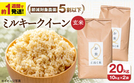 【スピード発送】ミルキークイーン 玄米20kg[AQAK013] 玄米