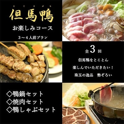 
＜毎月定期便＞兵庫県産「但馬鴨」お楽しみコース3～4人前全3回【4002297】
