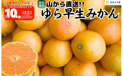 
                  ゆら早生 みかん 山から直送 箱込 10kg (内容量 9.2kg) 採れたてそのままごろごろ規格 有田みかん 和歌山県産 【みかんの会】［2026年10月下旬頃より順次発送予定］みかん 果物 みかん フルーツ みかん 和歌山 みかん 柑橘類 みかん 和歌山県産 みかん 有田 みかん
                