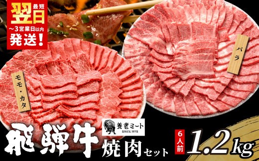 【12月発送】 贅沢！ 飛騨牛 焼肉セット 計1.2kg 6人前 牛肉 和牛 肉 焼肉 BBQ 霜降り カルビ 赤身 モモ カタ 東白川村 岐阜 養老ミート