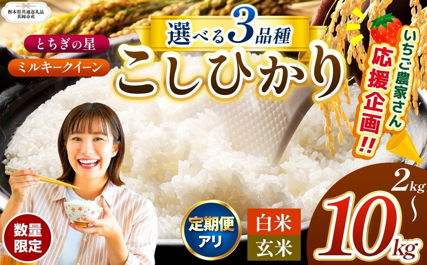 
                  【ふるさと納税】 新米 米 訳あり 定期便 限定 選べる 玄米 白米 先行予約 2kg 4kg 5kg 10kg 栃木県共通返礼品 コシヒカリ こしひかり とちぎの星  ミルキークイーン 密閉パック  | 米 こめ コメ ごはん いちご お米 kome okome  栃木県 那珂川町 送料無料
                