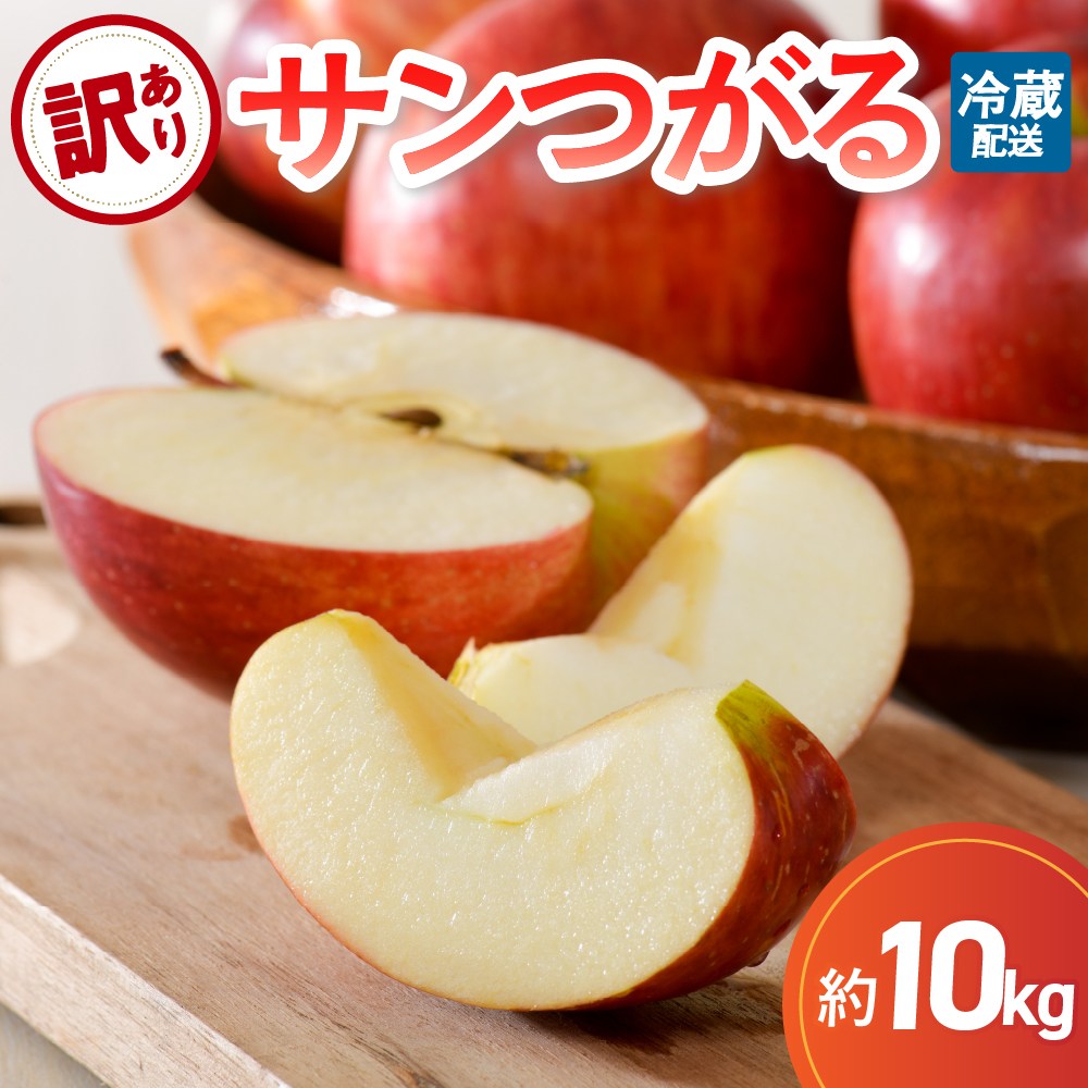 【9月発送】 りんご 10kg 【訳あり】  サンつがる 青森県産【2026年 リンゴ 林檎 果物 クール便】