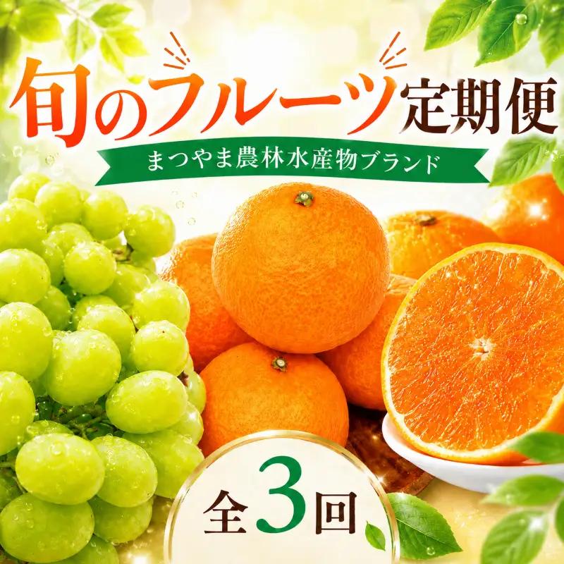 【全3回】  旬のフルーツ まつやま農林水産物ブランド 定期便 シャインマスカット 紅まどんな マドンナ せとか 愛媛 松山【FA0743】