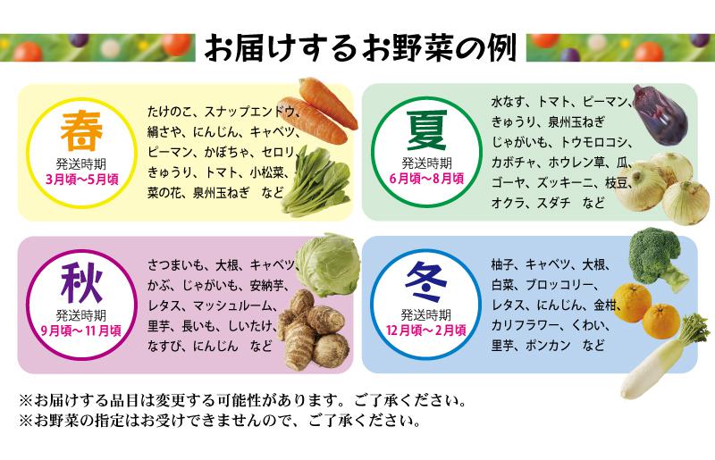 【スピード発送】 旬の野菜セット 15種類【国産 新鮮 おまかせ お楽しみ 旬 詰め合わせ 泉州野菜】 010B507