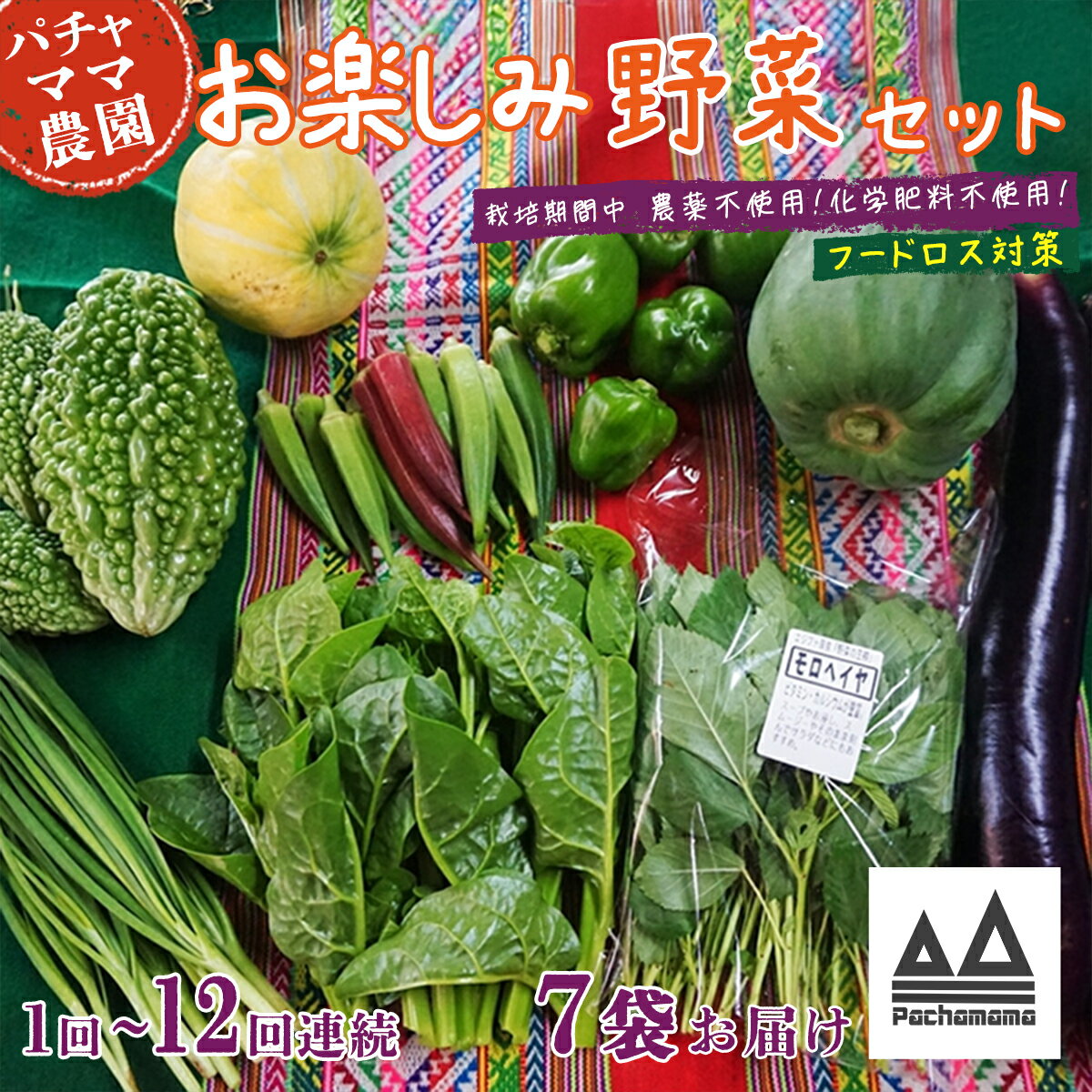 【ふるさと納税】【 選べる お届け回数 】【 訳あり 】お楽しみ野菜セット （ 7袋 ）【 フードロス対策 】【 定期便 野菜 詰め合わせ お任せ 訳あり フードロス 季節物 セット 山芋 パセリ かぶ 人参 里芋 たまねぎ 玉ねぎ ルッコラ ほうれん草 春菊 大根 パチャママ 】