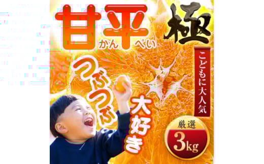 ＜甘みぎっっしり!＞シャキシャキ甘い♪♪＜甘平＞3kg＜C49-64＞【1509767】