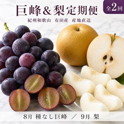 ふるさと納税 有田川町 【発送月固定定期便】紀州有田産旬のフルーツセット(種なし巨峰約2kg・梨約2kg)全2回