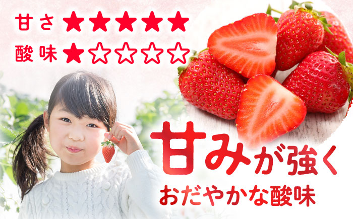  西海市産 いちご かおりの 計2kg（250g×8パック）＜武藤農園＞ [CFV002] 長崎 西海 イチゴ いちご 2kg 贈答 ギフト