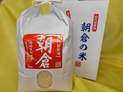 朝倉産 「元気つくし」5kg 