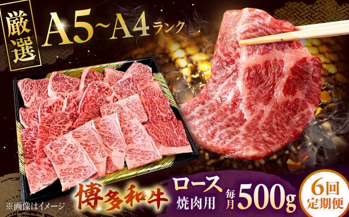 
            【全6回定期便】【数量限定 博多和牛】ロース 焼肉用 500g　株式会社チクゼンヤ/桂川町 [ADBZ047]
          