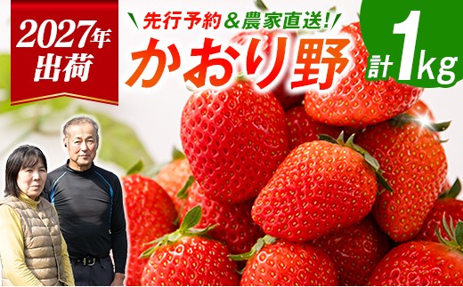 
                  ＜2027年出荷＞先行予約 宮崎県産 いちご「かおり野」計1kg（250g×4パック）フルーツ 期間限定 デザート ご褒美【B700】
                