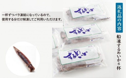 【復興支援】船凍するめいか 約1.2kg 6杯 ( 2杯 × ３袋 )小分け 個包装 刺し身 海産物 魚介類 獲れたて 急速冷凍 新鮮 刺身 さしみ 烏賊 人気 おすすめ ご当地グルメ カルパッチョ パスタ いかめし 煮物