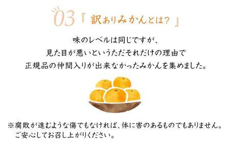 蔵出しみかん約10kg 大小混合 《ご家庭用》 ちょっと訳あり 和歌山県産 農園直送 まごころ産直みかん 【1月上旬頃発送開始】【北海道・沖縄県・一部離島 配送不可】 混合サイズ わけあり 訳アリ