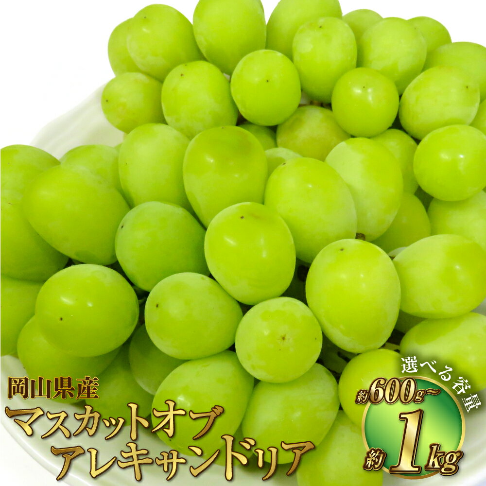 【ふるさと納税】【選べる容量】岡山県産 マスカットオブアレキサンドリア 約600g～約1kg マスカット ぶどう ブドウ 葡萄 果物 くだもの フルーツ 冷蔵 お取り寄せ 国産 岡山県 奈義町 送料無料 【2025年8月下旬～9月下旬迄発送予定】