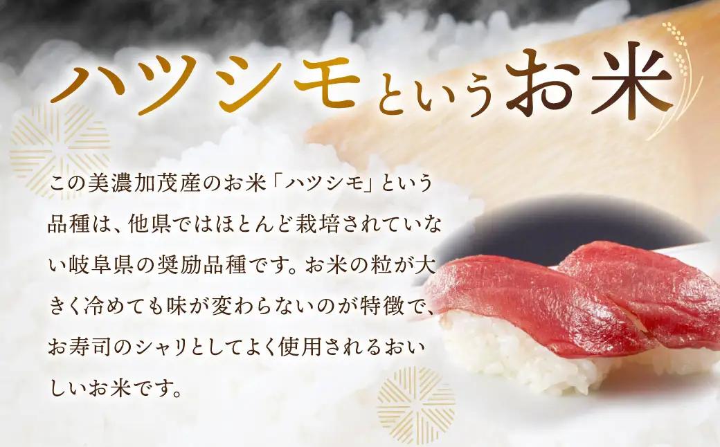 【先行予約】 令和8年産 お米マイスターが提供 冷めても美味しい 岐阜県美濃加茂産 ハツシモ （ 10kg ） 【 2026年11月下旬-2027年7月下旬まで発送予定 】 