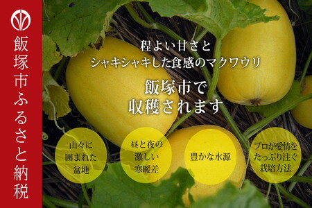 【いいづかブランド】マクワウリ約3.5kg＜8月上旬から発送開始分先行予約＞【A5-471】果物 フルーツ くだもの 期間限定 福岡県産 九州産 国産 まくわうり メロン