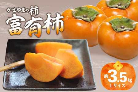 【先行予約】かせやまの柿 富有柿　Lサイズ 約3.5kg 京都 柿 鹿背山の柿 かき 015-01