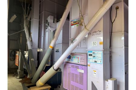 令和7年産 食味コンテスト受賞者の作る お米シリーズ 「 ミルキークイーン 白米 5kg 」 ＜11月から3月発送＞ _S137