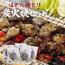 【ふるさと納税】 はかた 地どり 炭火焼 セット（100g×5袋）炭火焼 逸品 地鶏