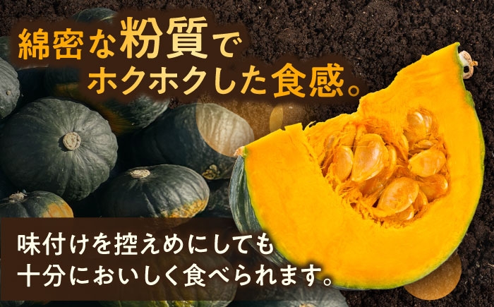 かぼちゃ カボチャ ダークホース  北海道産 足寄町 北海道