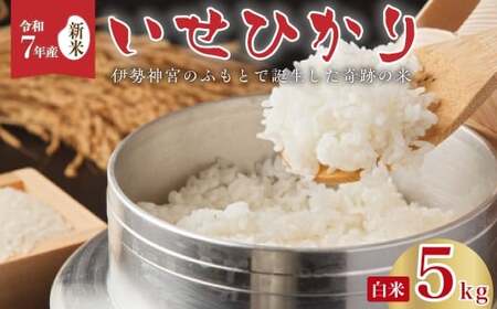 【令和7年産 新米 】いせひかり 精米 5kg 新米