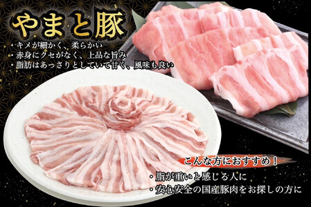 岩手県産 やまと豚&岩手めんこい黒牛 豪華ブランド肉セット ※着日指定不可 ※離島への配送不可