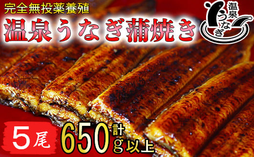 
温泉うなぎ蒲焼 5尾（130gサイズ） 国産うなぎ 人気 国産 蒲焼 蒲焼き かば焼き 鰻屋 個包装 冷凍 真空 ＜104-006_5＞
