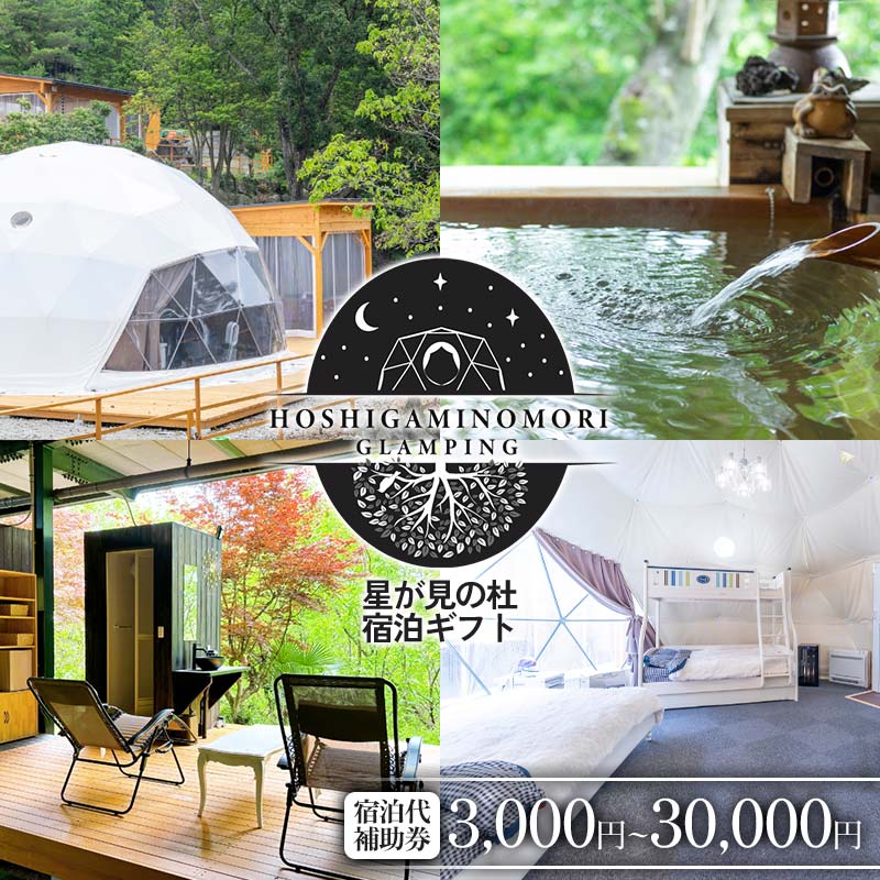 【ふるさと納税】＼選べる金額／星が見の杜宿泊ギフト 宿泊代補助券（3,000円・15,000円・30,000円） F4N-2743var