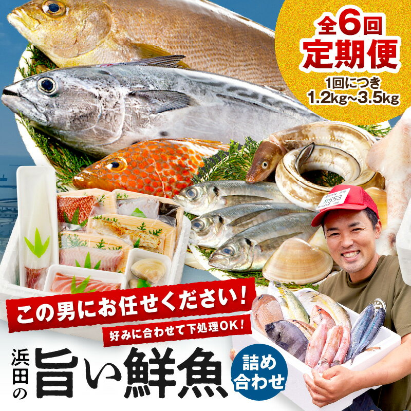 【ふるさと納税】【定期便】この男魅せる！〜浜田の旨い鮮魚6回お届けコース〜 プレミアム 鮮魚 定期便 6回 セット 詰め合わせ お取り寄せ 旬 ふるさと納税 定期便 海鮮 【006_2047】