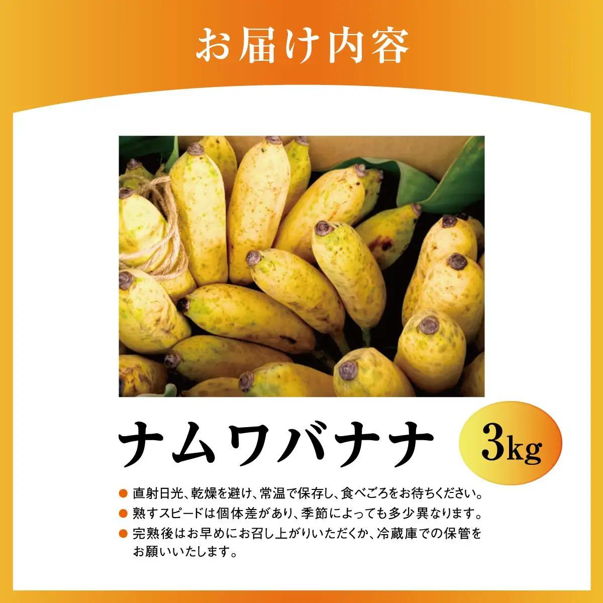  ナムワバナナ3kg   