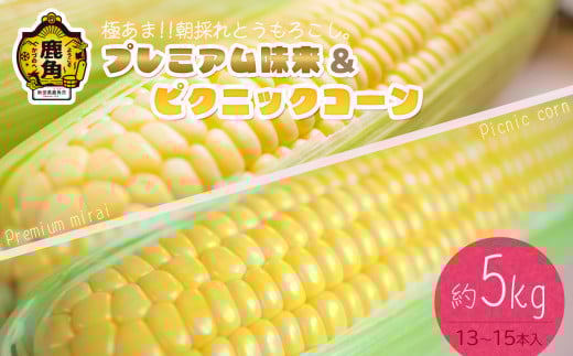 《 先行予約 》秋田県鹿角産 朝採り プレミアム味来＆ピクニックコーン 約5kg（13～15本）【さとう農園】●2025年7月下旬発送開始 朝採り 甘い 秋田県 鹿角産 新鮮 野菜 安全 トウモロコシ スイートコーン 中元 お歳暮 母の日 父の日 グルメ ギフト 故郷 秋田 あきた 鹿角市 鹿角 送料無料