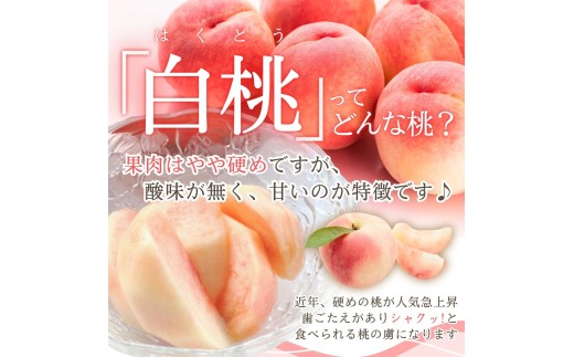 果肉はやや硬め、果汁は少なめですが酸味がなく甘いのが特徴です