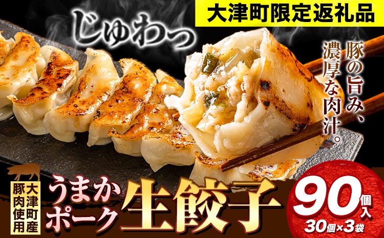 餃子 うまかポーク生餃子 90個 タレ付き 大津町限定返礼品 冷凍餃子 ギョウザ《30日以内に出荷予定(土日祝除く)》大津町産豚肉使用 九州産キャベツ使用（大津町産含む）皮モチモチ 肉汁溢れる ぎょうざ （30個×3袋）---oz_fumkgz_30d_25_10000_90p---
